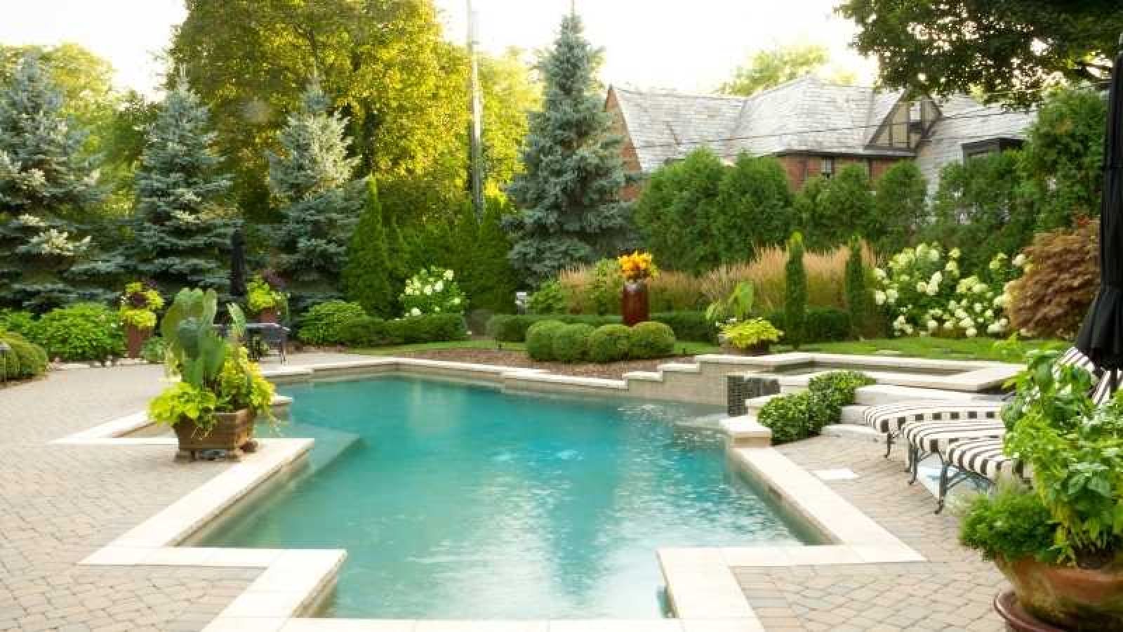 Freeform pool with beautiful plants, garden and sun in behind